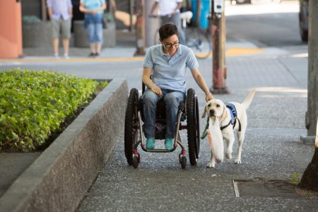 Yellow lab in a blue vest holds a shopping bag in her mouth as she pulls a woman in a wheelchair along with her harness