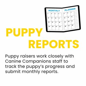 A graphic featuring the title 'PUPPY REPORTS' in bold yellow text above an illustration of a monthly planner calendar. Below, text explains that puppy raisers work with Canine Companions staff to track the puppy’s progress and submit monthly reports.