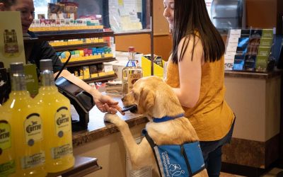 A woman at a cash register with her service dog, who is holding out a wallet to the cashier