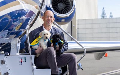 man sits on the steps of an airplane holding a yellow lab puppy in a yellow puppy cape