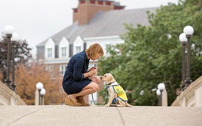 A young woman crouches down to speak to a very young yellow lab puppy in a yellow puppy cape