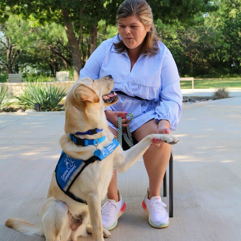 A woman in a blue and white striped dress sits on a chair, smiling at a yellow Labrador Retriever with a blue harness. The dog is raising its paw towards her, and she is holding its leash in her hand. The background features greenery and a paved area.