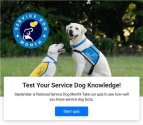 small screenshot of the test your service dog knowledge quiz