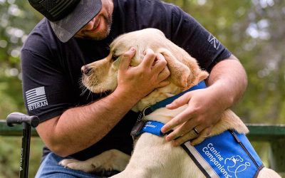 a man hugs his yellow lab service dog wearing a blue service dog vest