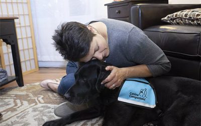 Young woman sits on the floor and hugs a black lab in a teal therapy dog vest