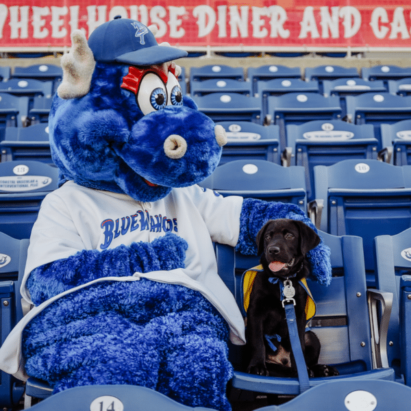 A blue mascot dressed in a sports jersey sits on a stadium seat next to a black dog wearing a yellow vest, both appearing relaxed and friendly in a baseball stadium environment.